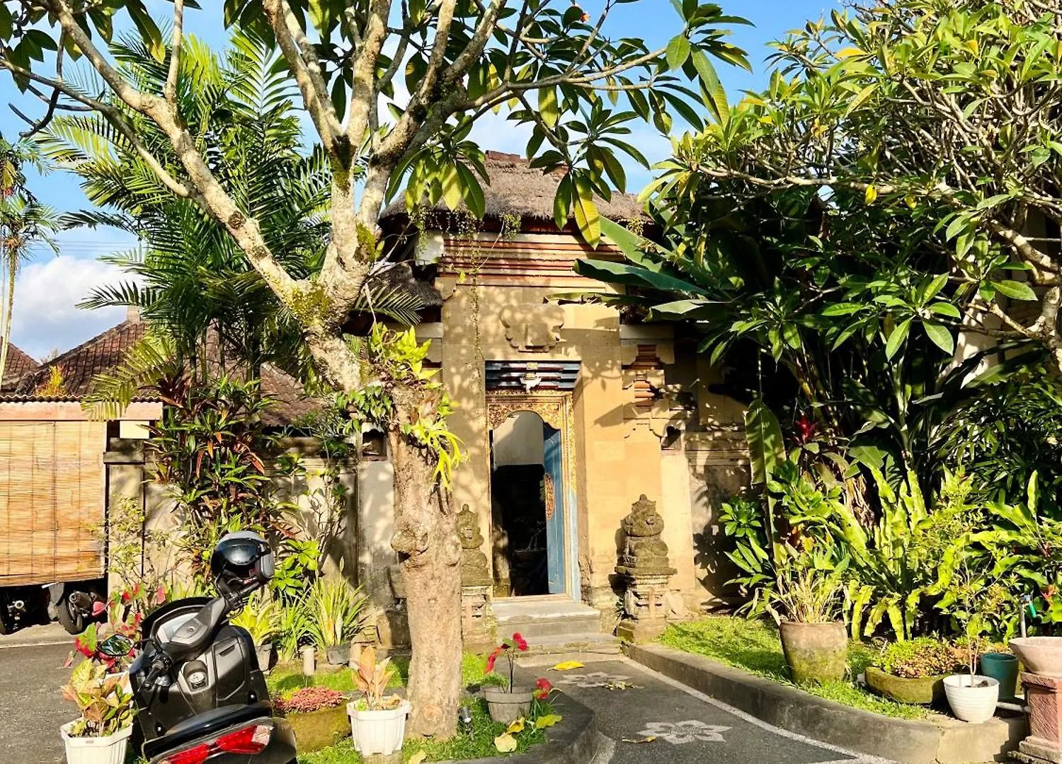 Homestay Jeevo Apartment Ubud  Indonesia